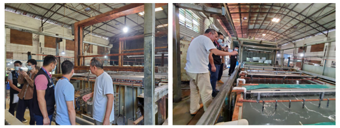 富策略bfball大白菜