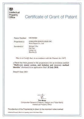 【NF-18-PCT-GB-01】GB2584060 Multi-core sensor system, and isolation and recovery method therefor.jpg